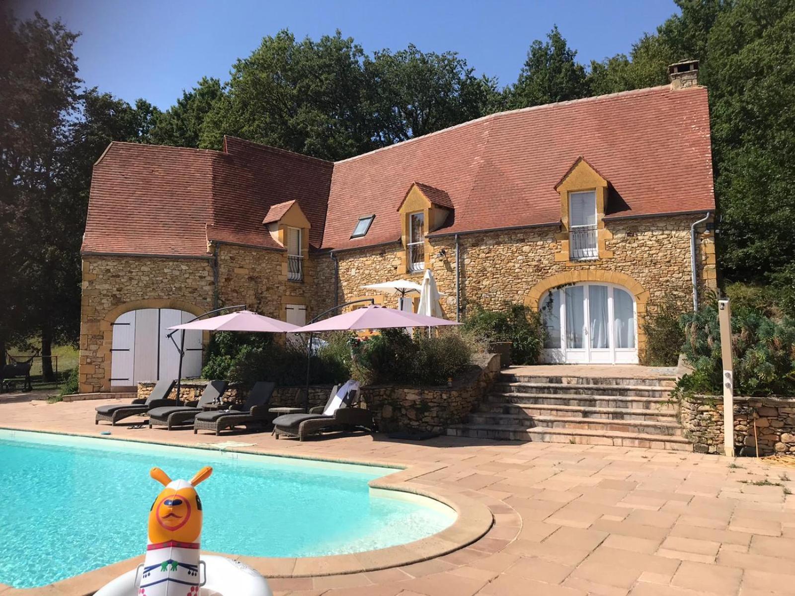 Luxury Chateau W. Pool & Hot Tub In Dordogne Vila Beynac-et-Cazenac Exterior foto